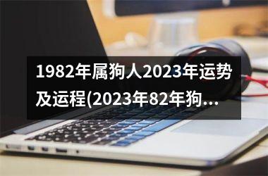 1982年属狗人2025年运势及运程(2025年82年狗女的全年运势如何)