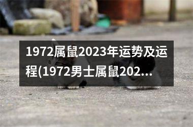 1972属鼠2025年运势及运程(1972男士属鼠2025年整体财运)