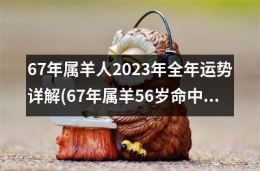 <h3>67年属羊人2025年全年运势详解(67年属羊56岁命中注定2025)