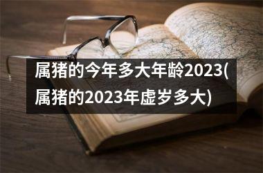 属猪的今年多大年龄2025(属猪的2025年虚岁多大)