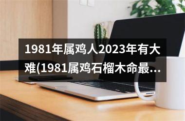 <h3>1981年属鸡人2025年有大难(1981属鸡石榴木命最忌讳什么)