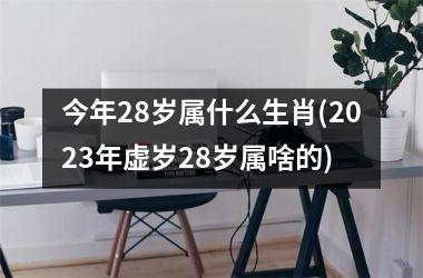 <h3>今年28岁属什么生肖(2025年虚岁28岁属啥的)