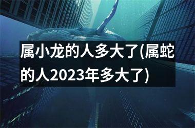 <h3>属小龙的人多大了(属蛇的人2025年多大了)