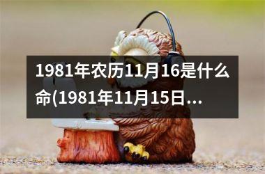 <h3>1981年农历11月16是什么命(1981年11月15日属鸡的是什么命)