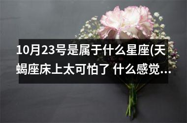 10月23号是属于什么星座(天蝎座床上太可怕了 什么感觉)