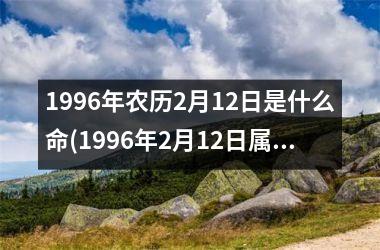 <h3>1996年农历2月12日是什么命(1996年2月12日属猪还是鼠)