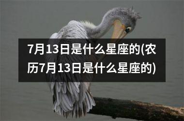 <h3>7月13日是什么星座的(农历7月13日是什么星座的)