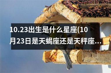 10.23出生是什么星座(10月23日是天蝎座还是天秤座)