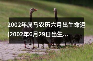 <h3>2002年属马农历六月出生命运(2002年6月29日出生是什么命)