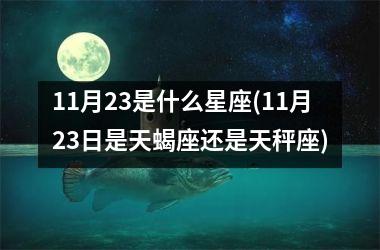 <h3>11月23是什么星座(11月23日是天蝎座还是天秤座)