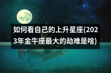 <h3>如何看自己的上升星座(2025年金牛座最大的劫难是啥)