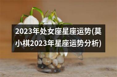 <h3>2025年处女座星座运势(莫小棋2025年星座运势分析)