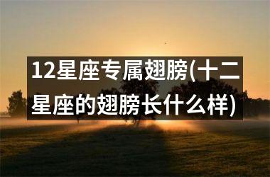 <h3>12星座专属翅膀(十二星座的翅膀长什么样)