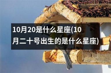 10月20是什么星座(10月二十号出生的是什么星座)