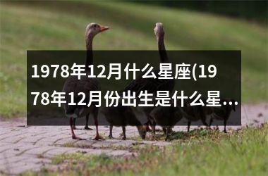 <h3>1978年12月什么星座(1978年12月份出生是什么星座)