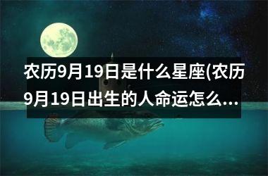 农历9月19日是什么星座(农历9月19日出生的人命运怎么样)