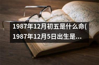 <h3>1987年12月初五是什么命(1987年12月5日出生是什么命)