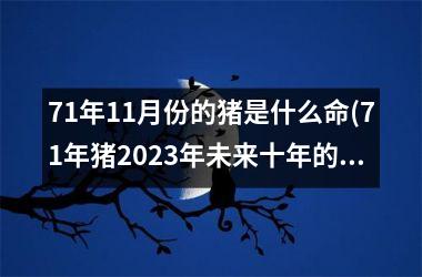 <h3>71年11月份的猪是什么命(71年猪2025年未来十年的运气)