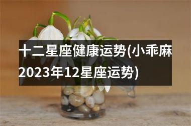 <h3>十二星座健康运势(小乖麻2025年12星座运势)