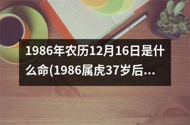 <h3>1986年农历12月16日是什么命(1986属虎37岁后有十年大运)