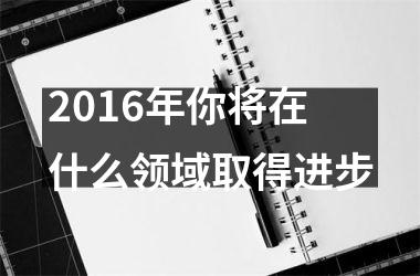 <h3>2016年你将在什么领域取得进步