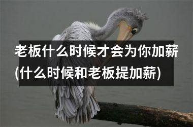 <h3>老板什么时候才会为你加薪(什么时候和老板提加薪)