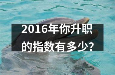 2016年你升职的指数有多少？