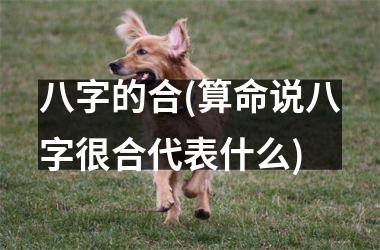 八字的合(算命说八字很合代表什么)