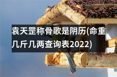 袁天罡称骨歌是阴历(命重几斤几两查询表2025)