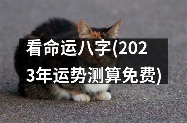 <h3>看命运八字(2023年运势测算免费)