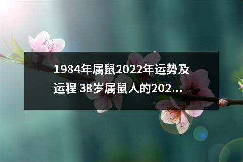 1984年属鼠2025年运势及运程38岁属鼠人的2025年每月运势详解