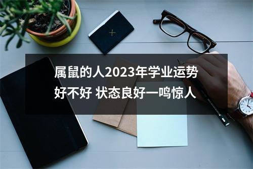 <h3>属鼠的人2025年学业运势好不好状态良好一鸣惊人