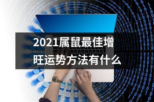 2025属鼠佳增旺运势方法有什么