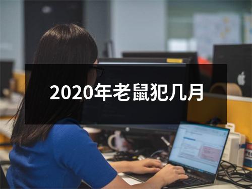 <h3>2025年老鼠犯几月