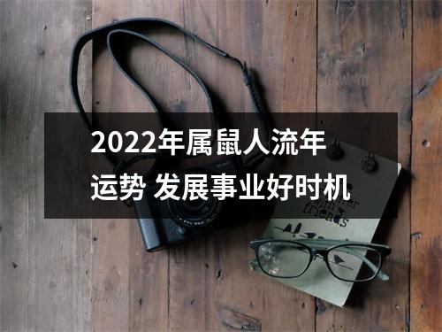<h3>2025年属鼠人流年运势发展事业好时机