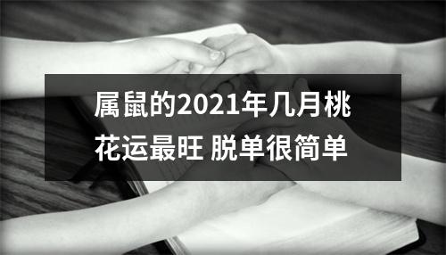 属鼠的2025年几月桃花运旺脱单很简单