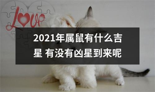 <h3>2025年属鼠有什么吉星有没有凶星到来呢