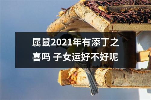 属鼠2025年有添丁之喜吗子女运好不好呢