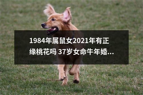 <h3>1984年属鼠女2025年有正缘桃花吗37岁女命牛年婚姻运
