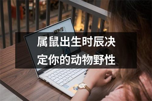<h3>属鼠出生时辰决定你的动物野性