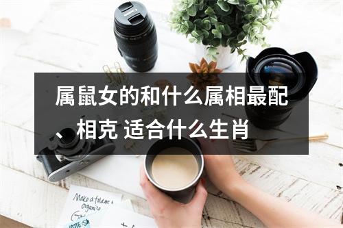 <h3>属鼠女的和什么属相配、相克适合什么生肖