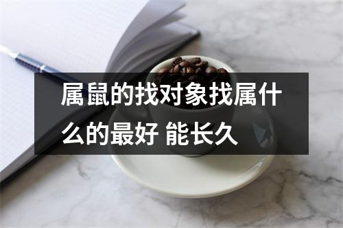 <h3>属鼠的找对象找属什么的好能长久