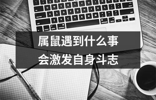 属鼠遇到什么事会激发自身斗志