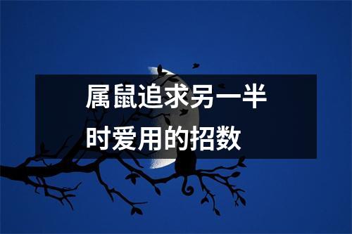 属鼠追求另一半时爱用的招数