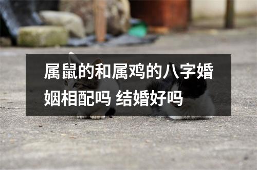 <h3>属鼠的和属鸡的八字婚姻相配吗结婚好吗