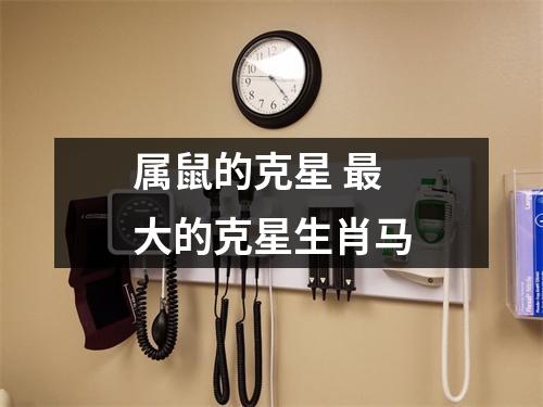 <h3>属鼠的克星大的克星生肖马