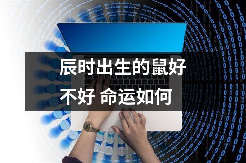 辰时出生的鼠好不好命运如何