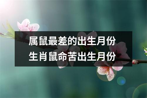 <h3>属鼠差的出生月份生肖鼠命苦出生月份