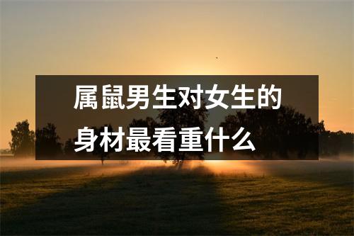 <h3>属鼠男生对女生的身材看重什么