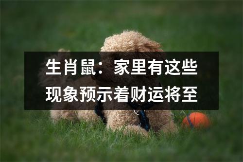 <h3>生肖鼠：家里有这些现象预示着财运将至